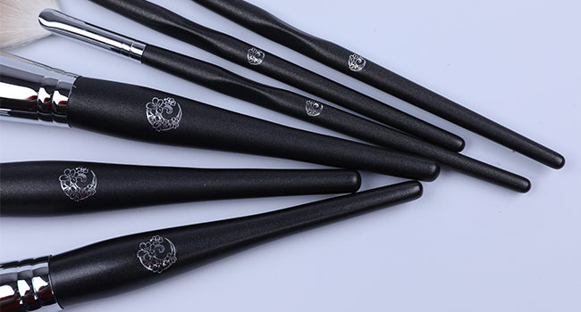 fan brush for makeup powders