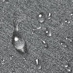 Travel Electronics Organizer