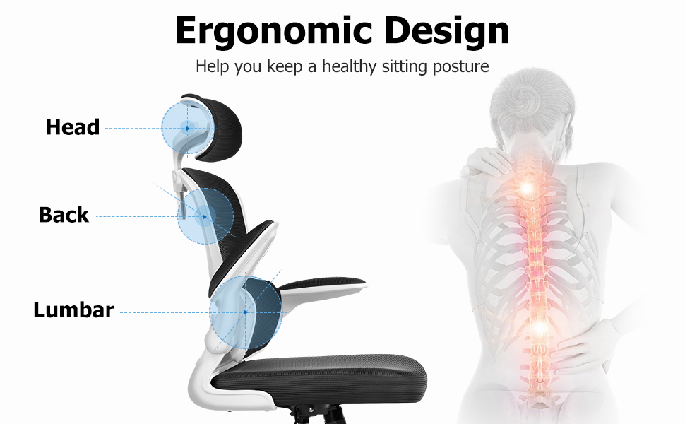Razzor Ergonomic Office Chair, High Back Mesh Desk Chair