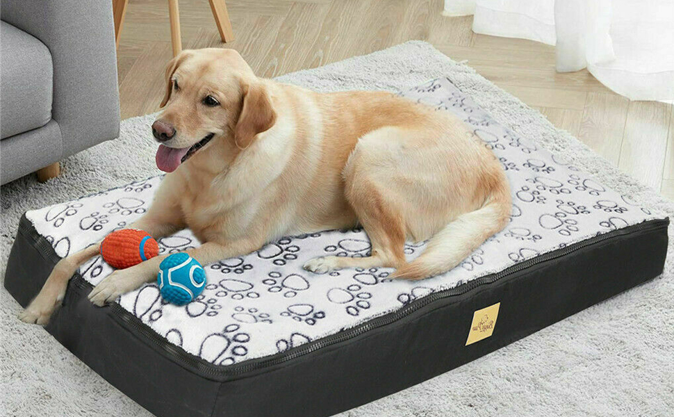 BingoPaw Panier Chien Orthopédique, Lit Chien Déhoussable Lavable 
