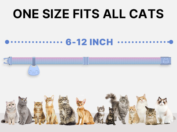 Pet Supplies : Cat Collar with Name Tag Breakaway: Kitten