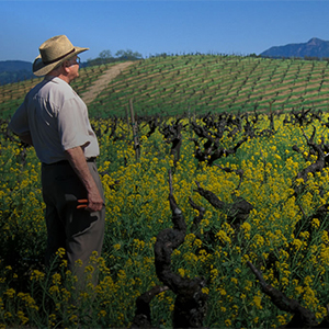 Small manufacture image 6