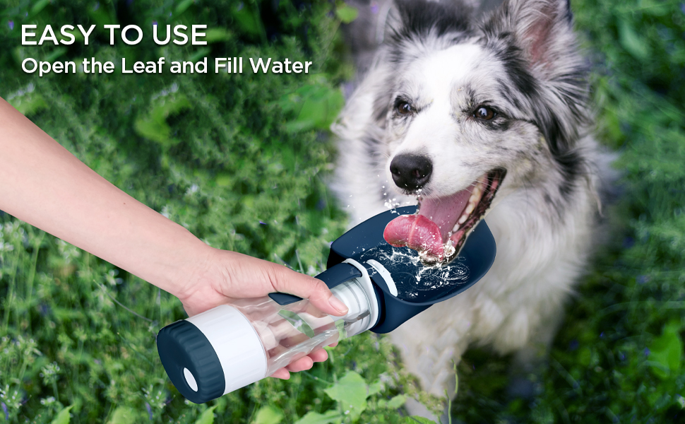 Dog Water Bottle for walking