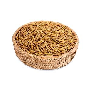 Small manufacture image 1