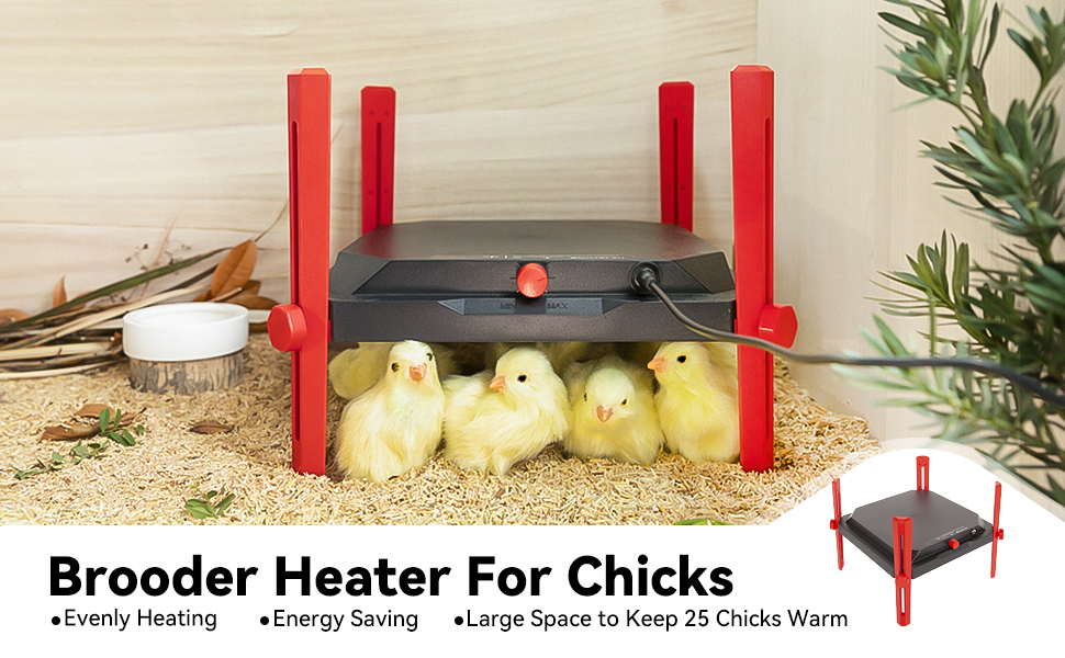 PoultryKit Brooder Heater 12" x 12" for 25 Chicks, Safe DC