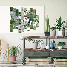 Kit de collage mural 50 pièces