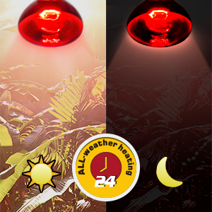 reptile heat lamp