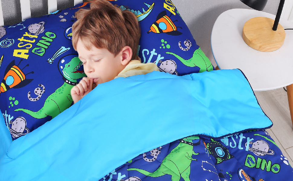 Cloele 4 Piece Toddler Bedding Set Ultra Soft Dinosaur