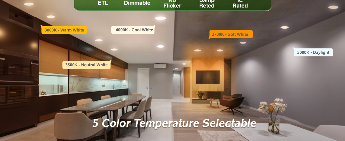 8 inch led recessed light