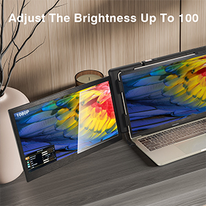 JoyReal P2 Pro ADJUSTABLE BRIGHTNESS