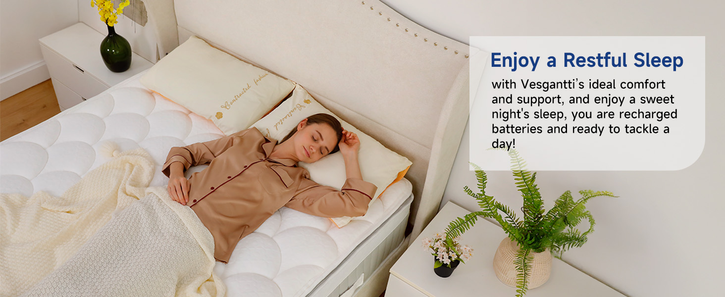 Vesgantti 12 inch Twin Mattress in a Box,