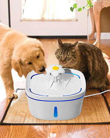 Cat Water Fountain with 2 Filters