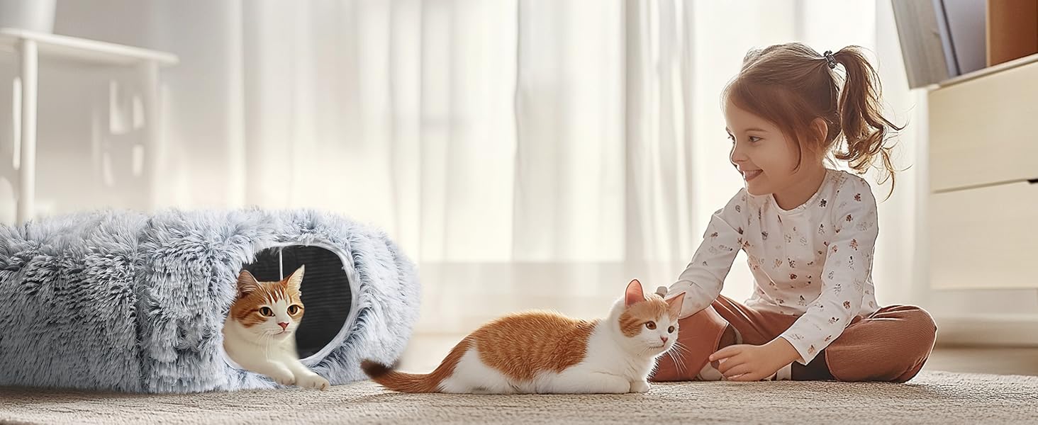 cat tunnel