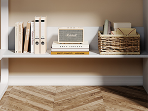 Storage Shelf