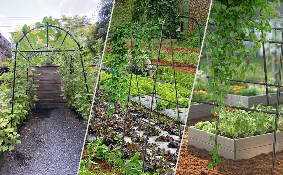 Garden Tunnel Trellis, 58”H Metal Squash Trellis with Net