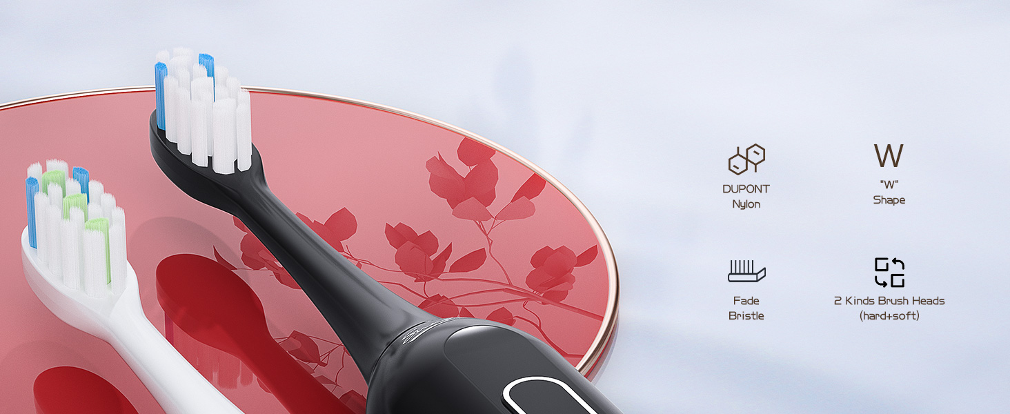 8 DuPont Brush Heads