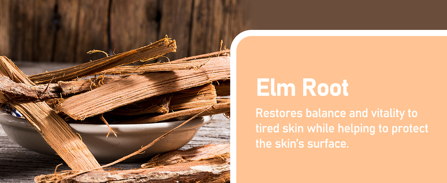 laminaria cream,korean face cream,sea kelp moisturizer,lightweight face cream,hydration face cream