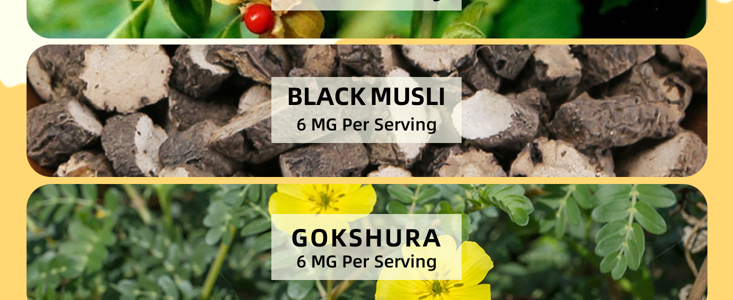 pure shilajit gummies for men