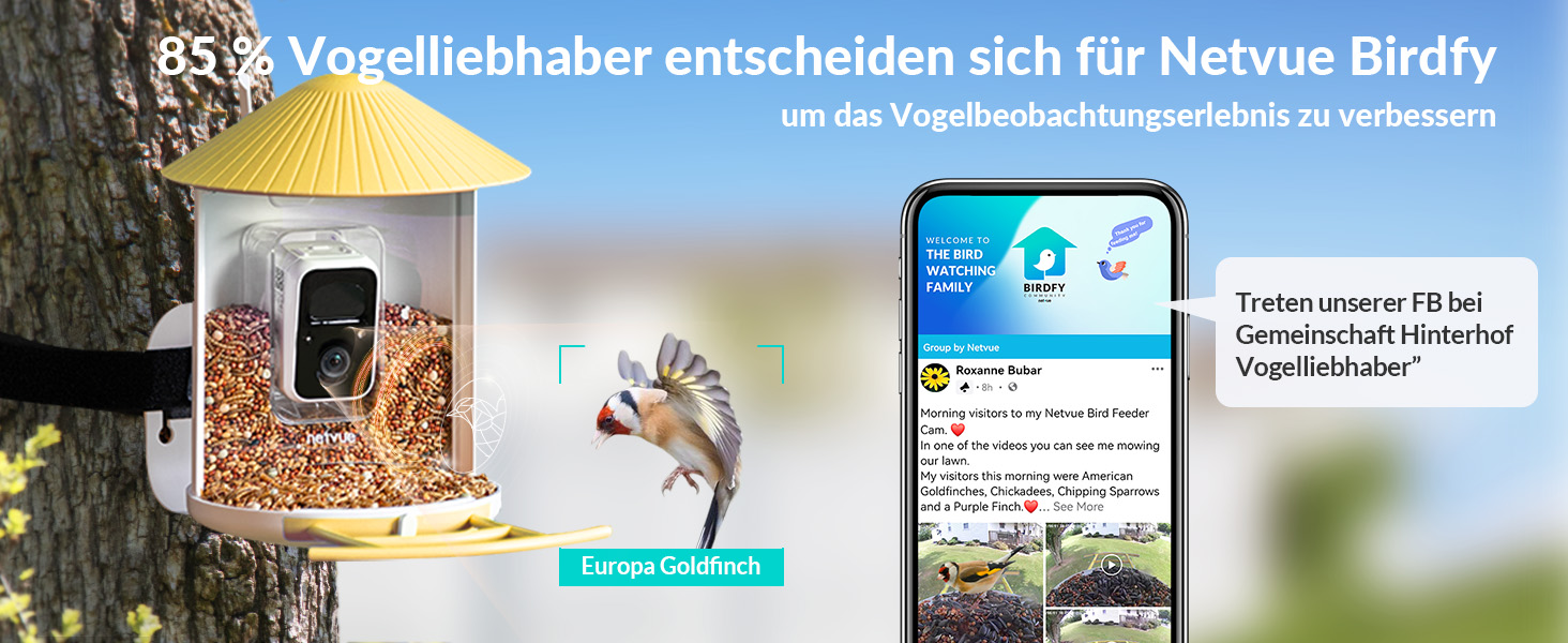 Vogelhaus mit Kamera