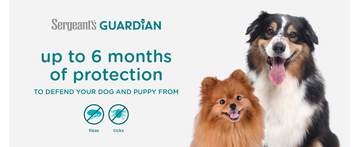 up to 6 months of flea and tick protection