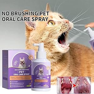 Amazon.co.jp: Kayswang 歯石取り 犬 歯磨き はみがき 猫 ペット