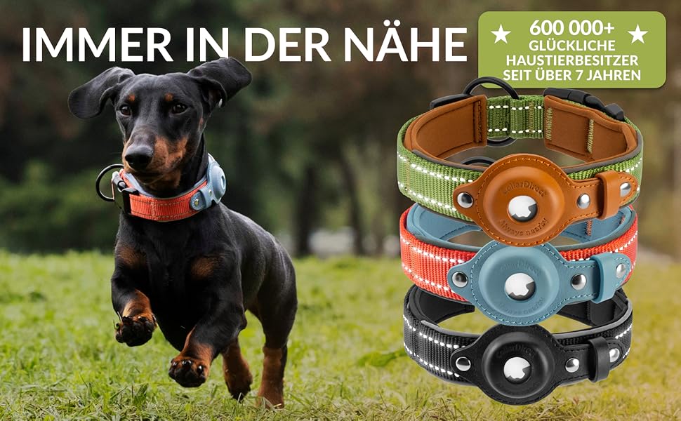 Airtag Dog CollarDirect Reflective Dog Collar for Apple AirTag for