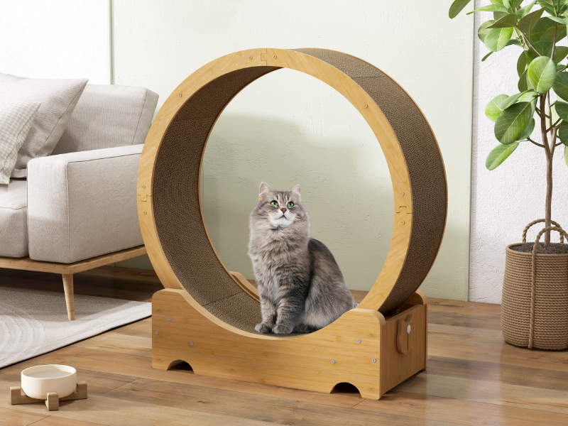 COZIWOW Cat Exercise Wheel 34" Large Cat... 23 cat wheels