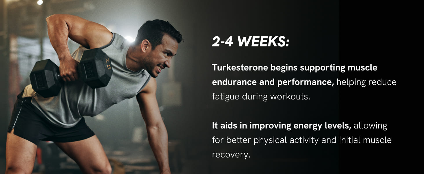 tongat-ali fadogia agrestis ashwagandha best muscle growth supplements for men turkesterone and maca