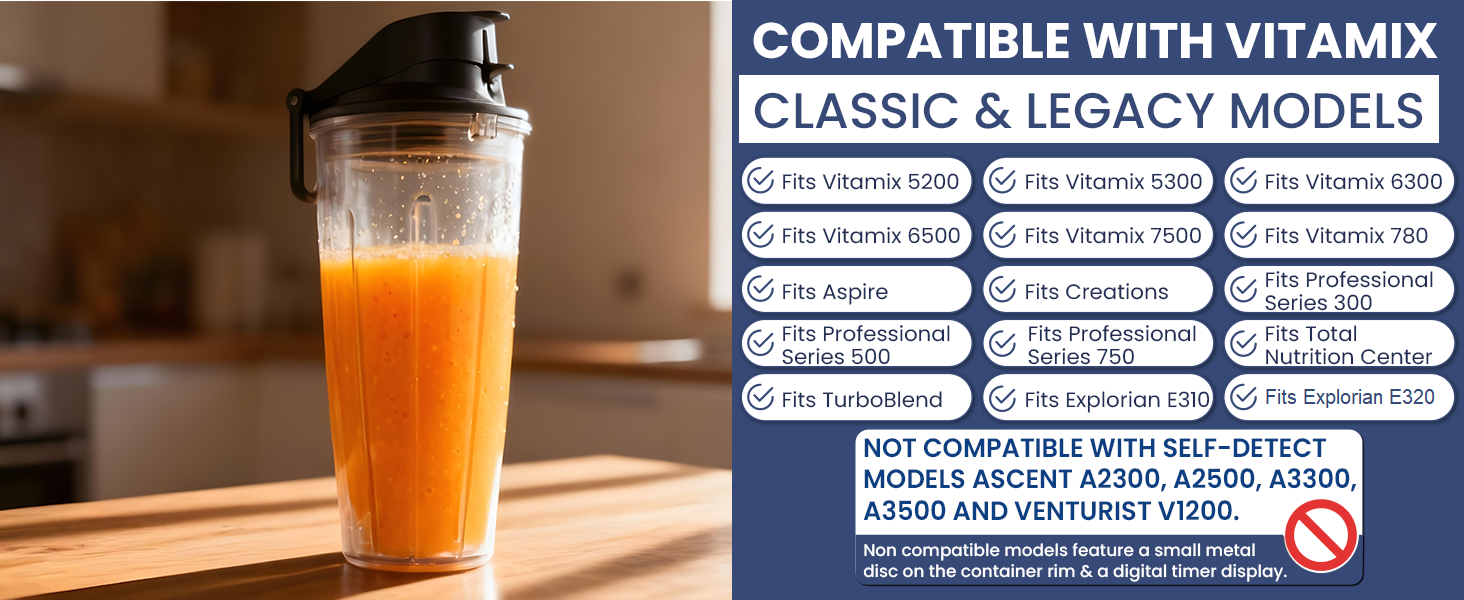 personal cup blender