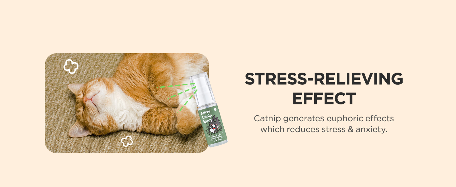Catnip Spray