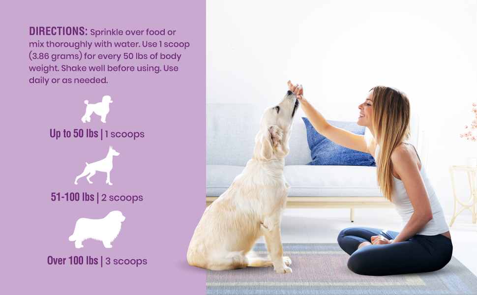 prebiotic natural bone supplements canine perfect prebiotics pets best miracle gut pumpkin puppy