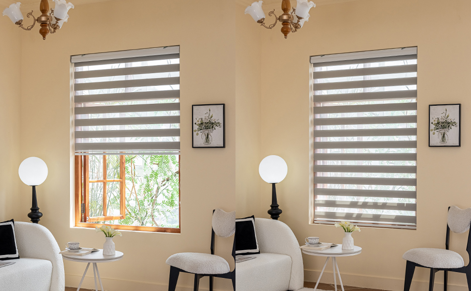 INZEBRIGH Zebra Blinds for Windows, 72" Hx 24" W Roller