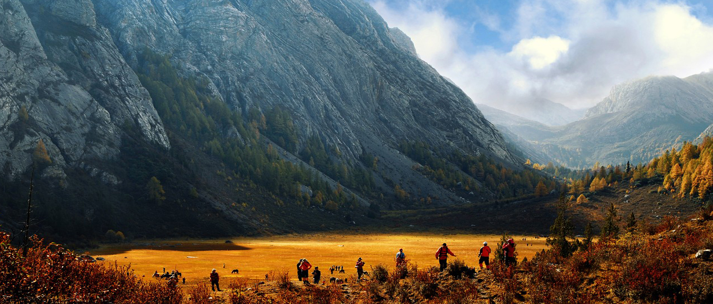 Selovzz Men's Hiking Pants