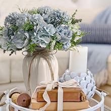 hydrangea with vase