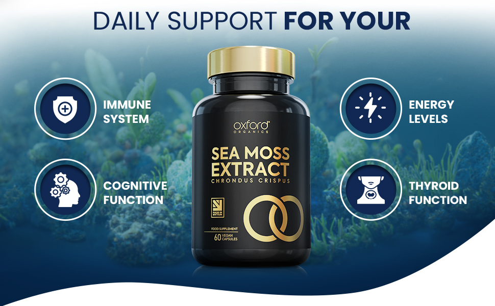 Advanced Sea Moss Capsules 2500mg | High Strength 4:1 Sea Moss Extract - How Many Sea Moss Capsules To Take Daily
