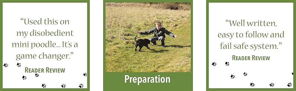 dog training, recall training