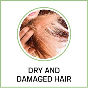 dry and damaged hair