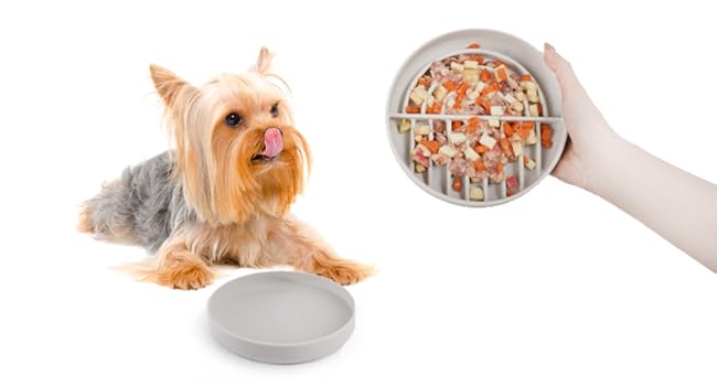 Reasonably Slow Feeding Design