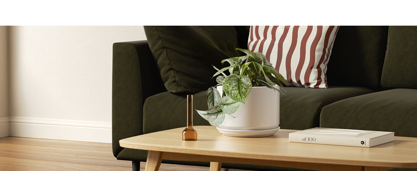 plant pots