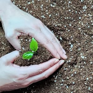 Korean Hair Treatment For Dry Itchy Scalp