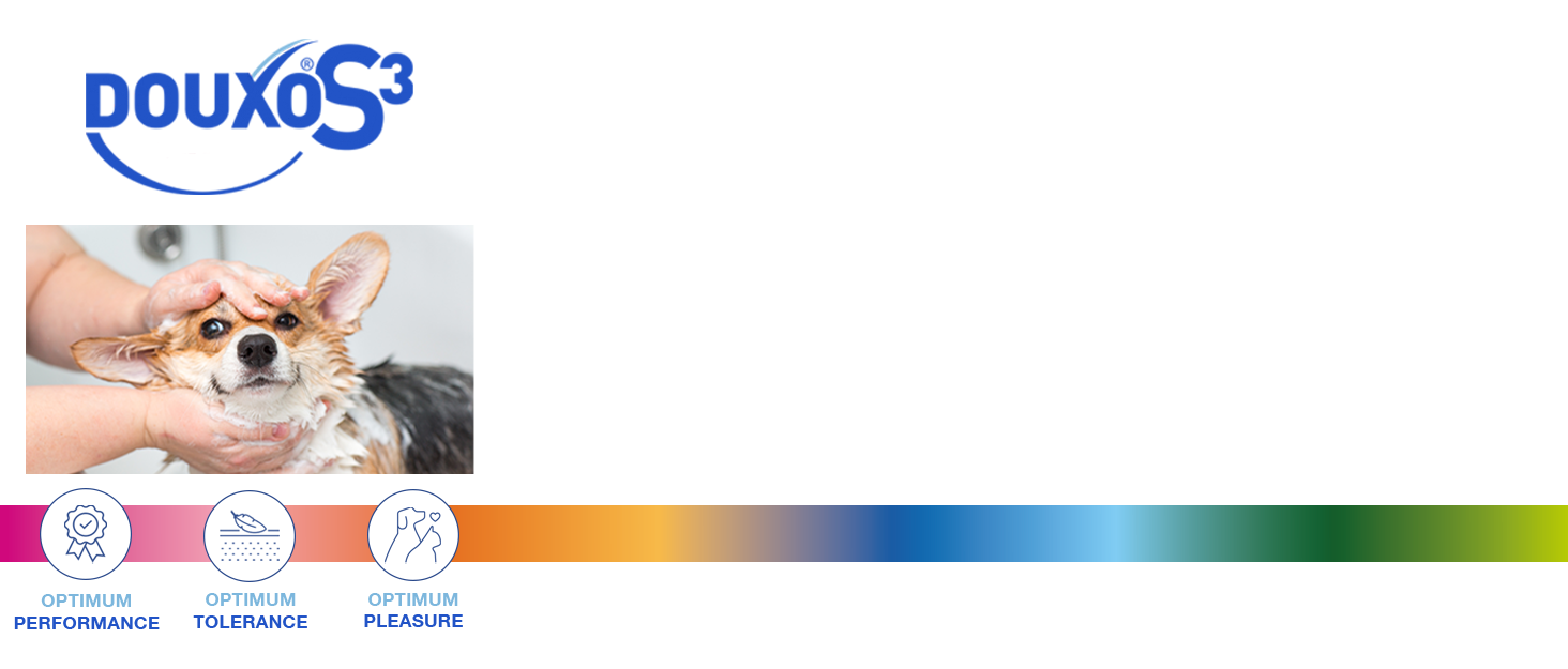 DOUXO S3 CALM Shampoo, Soothing Dog and Cat Shampoo Sensitive Skin, Effective Dog and Cat Shampoo for Itchy Skin, Hypoallergenic Fragrance, Hydrating Dog and Cat Shampoo, 200ml 7 Dog being washed with Douxo logo above and selling points below