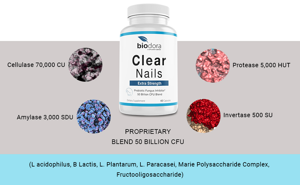 Clear Nails - Extra Strength - Probiotic Fungus Inhibitor - 50 Billion CFU