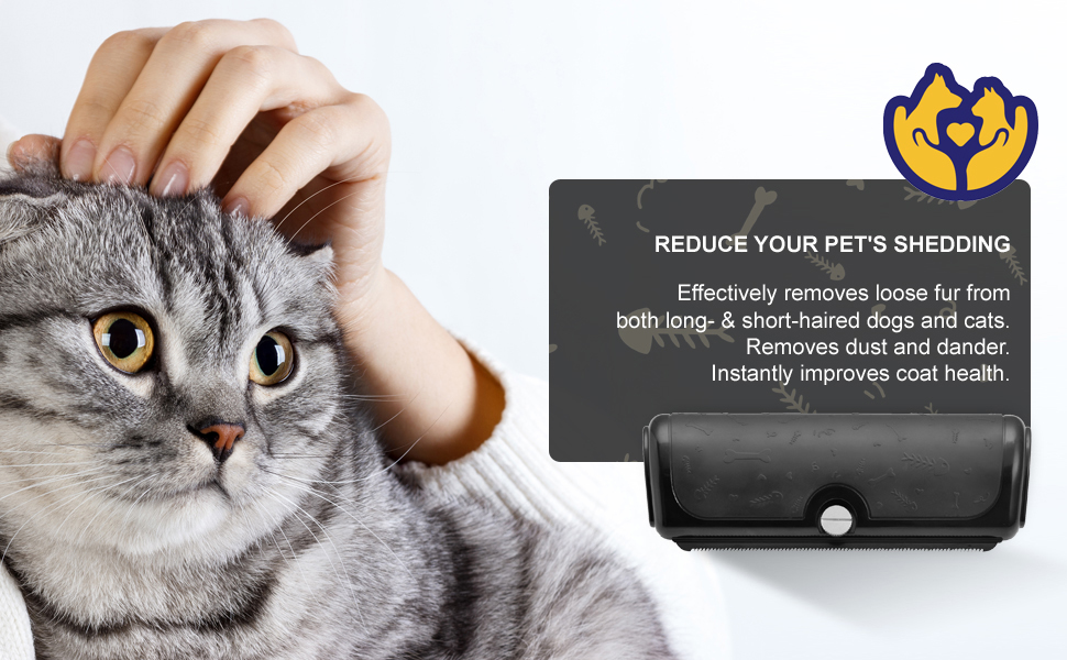 cat brushes for indoor cats