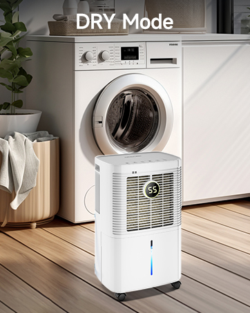 dehumidifiers for laundry