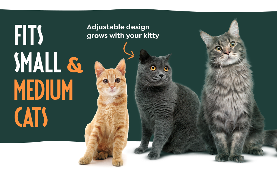 cat harnesses kitten lead and harness set cat harness escape proof