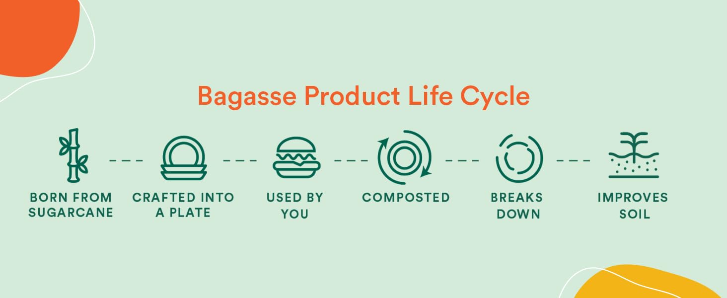 Life Cycle