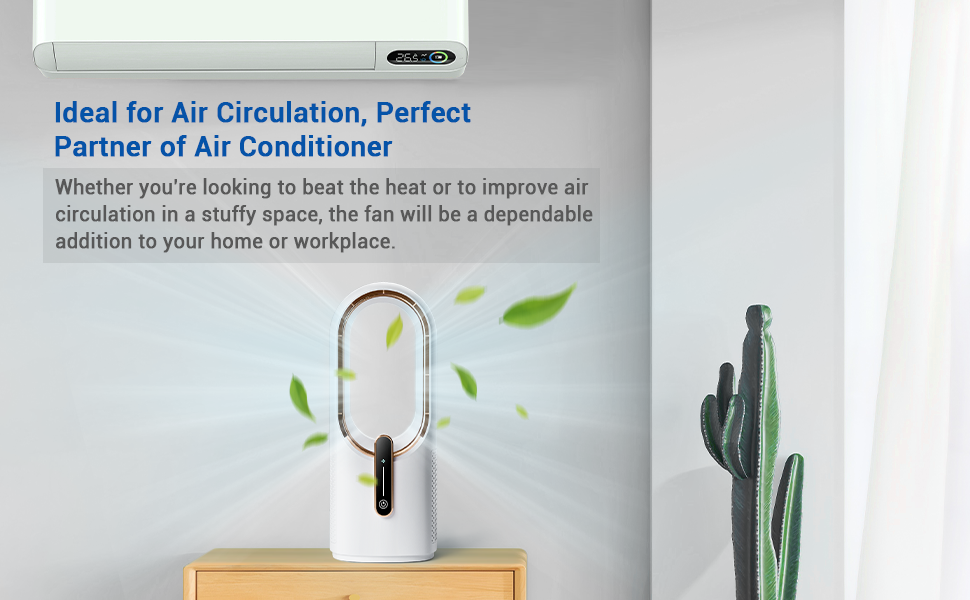 Air Circulator Fan