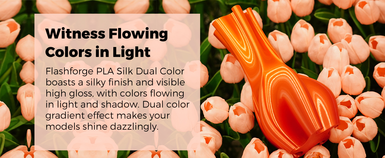 Witness Flowing Colors in Light