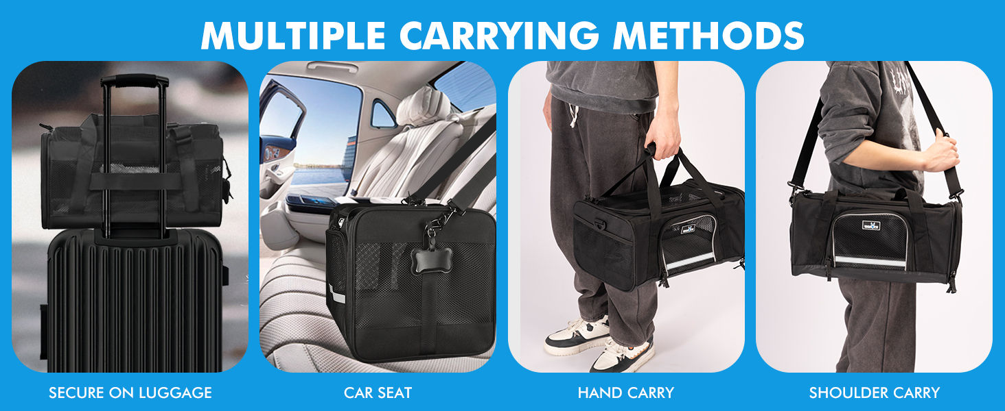 pet carrier for small cat