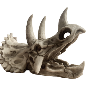 Reptiles Resin Triceratops Skull Hide Decoration